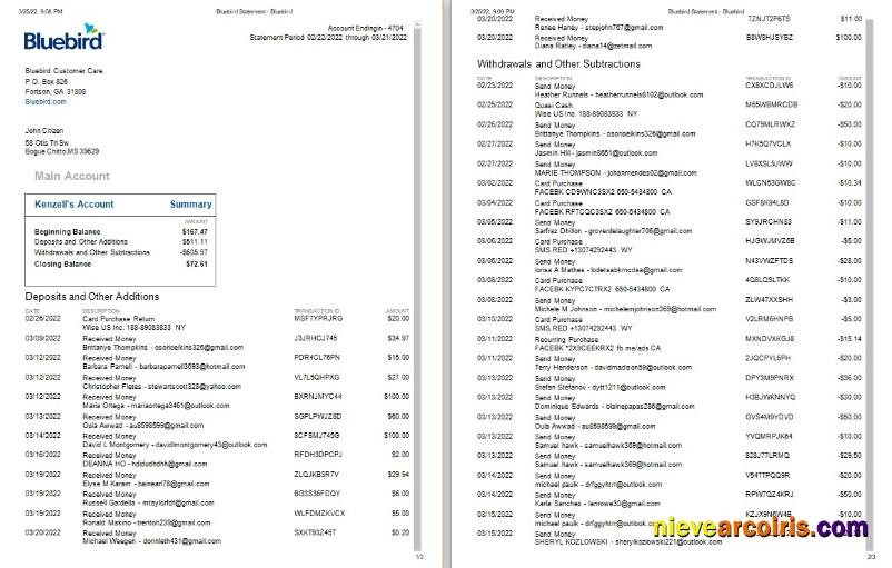 USA Bluebird bank statement Word and PDF, 3 pages, version 2